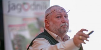 Liście i pierwiastki ważne w uprawie truskawki