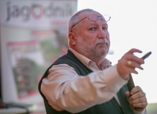Liście i pierwiastki ważne w uprawie truskawki