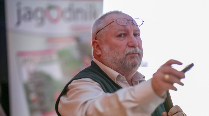 Liście i pierwiastki ważne w uprawie truskawki