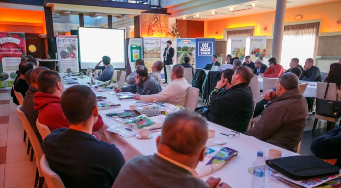 W korycińskim zagłębiu uprawy truskawek, cz. II odmiany truskawek