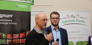 Nowe odmiany truskawek, część I