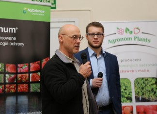 Nowe odmiany truskawek, część I