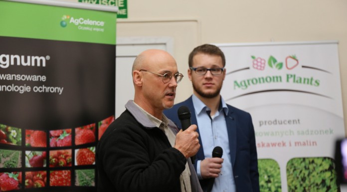 Nowe odmiany truskawek, część I