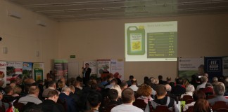 Wrocławska Akademia uprawy truskawek – fotogaleria