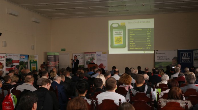 Wrocławska Akademia uprawy truskawek – fotogaleria