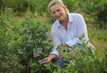 Prawidłowy dobór odmiany borówki wysokiej – to połowa sukcesu