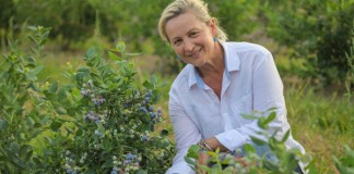 Prawidłowy dobór odmiany borówki wysokiej – to połowa sukcesu