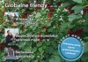 Jagodnik 2/2016 – już w sprzedaży