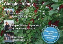 Jagodnik 2/2016 – już w sprzedaży