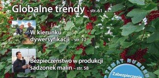 Jagodnik 2/2016 – już w sprzedaży