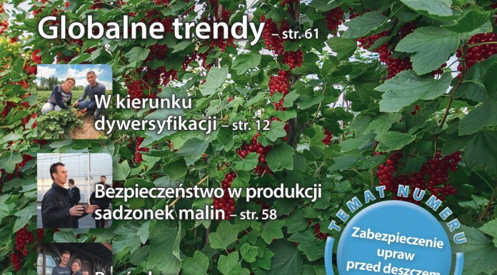 Jagodnik 2/2016 – już w sprzedaży