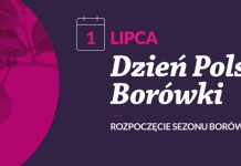 Dzień Polskiej Borówki – cel, misja i założenia