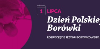 Dzień Polskiej Borówki – cel, misja i założenia