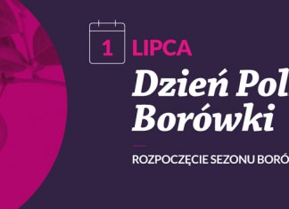 Dzień Polskiej Borówki – cel, misja i założenia