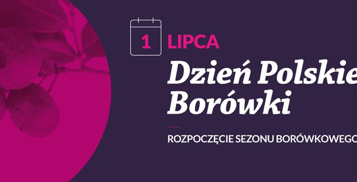 Dzień Polskiej Borówki – cel, misja i założenia