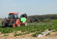 Trwałość kaptanu a PH cieczy roboczej