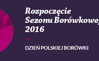 Licznik i banery do pobrania