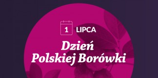 Odliczamy czas do Dnia Polskiej Borówki