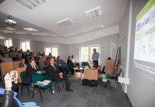 Borówka wysoka – nowe wyzwania