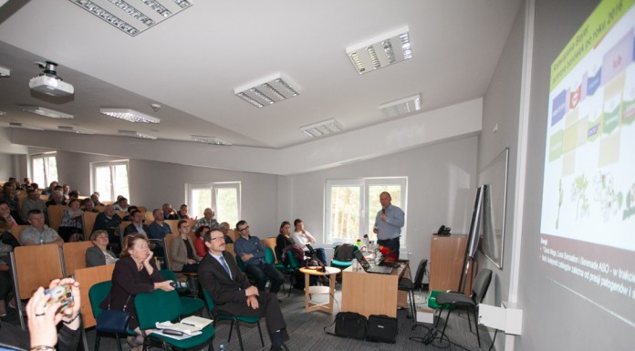 Borówka wysoka – nowe wyzwania