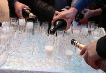 Program Timac Agro VipRoom Owoce Jagodowe już działa!