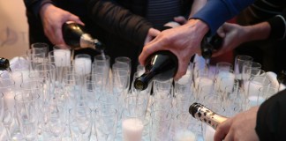 Program Timac Agro VipRoom Owoce Jagodowe już działa!