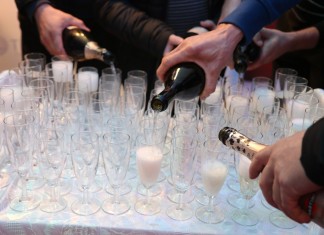 Program Timac Agro VipRoom Owoce Jagodowe już działa!