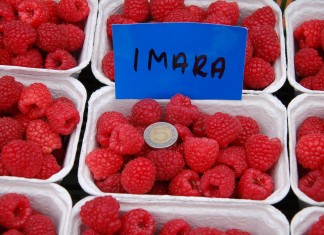 Kwanza, Kweli i Imara – podsumowanie plonowania w 2015 roku