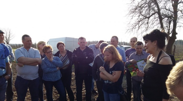 Pierwsze spotkania polowe Klubu Jagodowego Agrosimex – truskawki