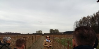 Pierwsze spotkania polowe Klubu Jagodowego Agrosimex (cz. II) – malina