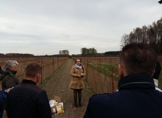 Pierwsze spotkania polowe Klubu Jagodowego Agrosimex (cz. II) – malina