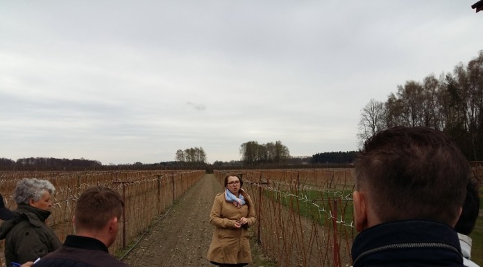 Pierwsze spotkania polowe Klubu Jagodowego Agrosimex (cz. II) – malina