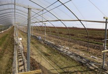 Założenia do projektu Malinowe Factory 2016