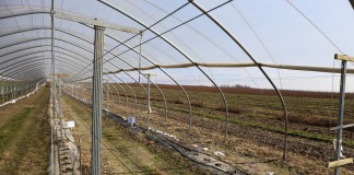 Założenia do projektu Malinowe Factory 2016