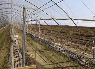 Założenia do projektu Malinowe Factory 2016