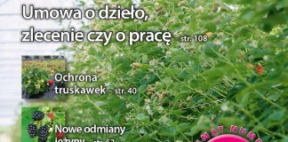 Jagodnik 3/2016 już w sprzedaży
