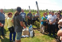Zalecenia dla borówki w okresie kwitnienia