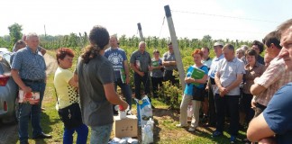 Zalecenia dla borówki w okresie kwitnienia
