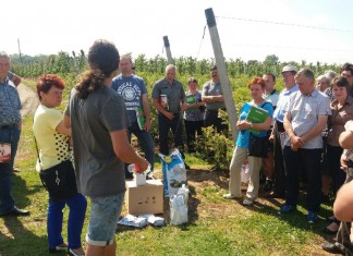 Zalecenia dla borówki w okresie kwitnienia