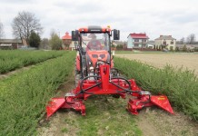 Pielęgnacja plantacji – gwarancją udanych zbiorów