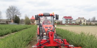 Pielęgnacja plantacji – gwarancją udanych zbiorów