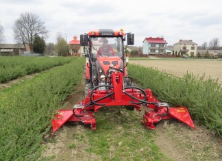 Pielęgnacja plantacji – gwarancją udanych zbiorów