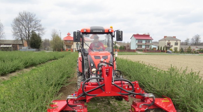 Pielęgnacja plantacji – gwarancją udanych zbiorów