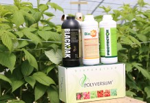 Wapń i leonardyt w uprawie malin