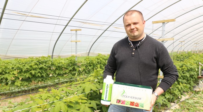 Ochrona malin biologiczno-chemiczna