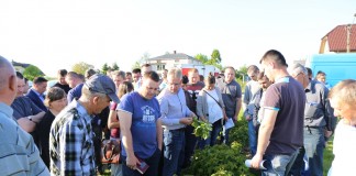 Zalecenia dla malin (cz. I) – regeneracja i nawożenie