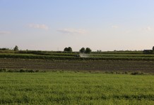 Agro Security Forum AGROSEC 2016