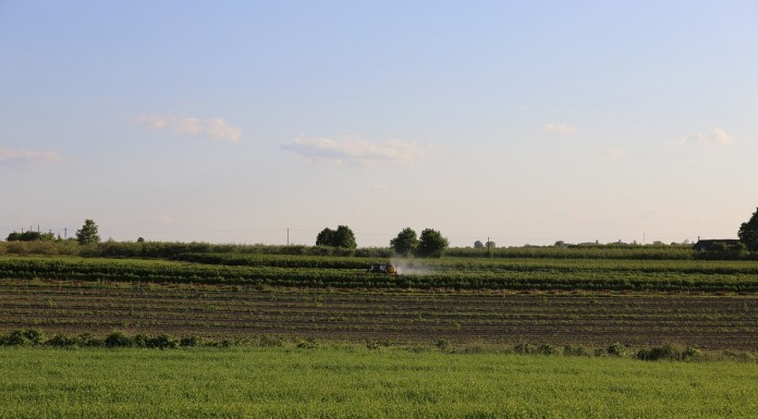 Agro Security Forum AGROSEC 2016