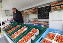 Sprzedaż bezpośrednia truskawek, a może w formie zbieraj sam