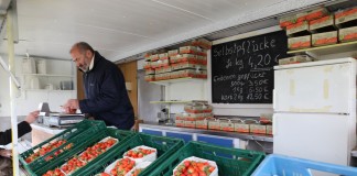 Sprzedaż bezpośrednia truskawek, a może w formie zbieraj sam